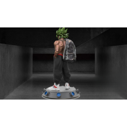 Broly Sport