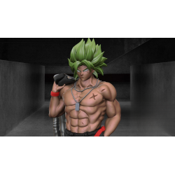 Broly Sport