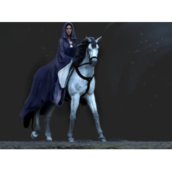 Arwen lord of rings statue on horse Standard & NSFW