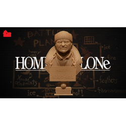 Home Alone - Harry Bust