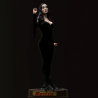 Morticia Addams