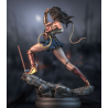 Wonder Woman Battle