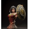 Wonder Woman Bust