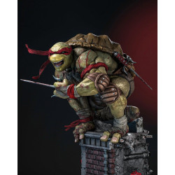 TMNT - Raphael