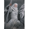 Gandalf the White