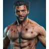 Wolverine - Hugh Jackman