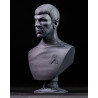 Spock Bust