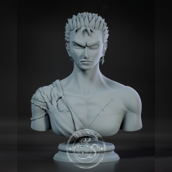 Zoro Bust