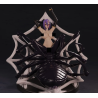 Rachnera