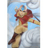 Aang from Avatar