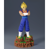 Vegetto