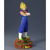 Vegetto