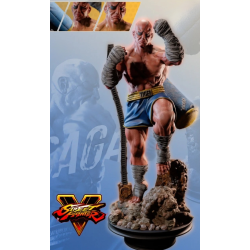 Sagat