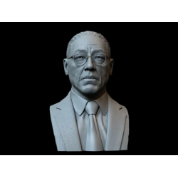 Gustavo Bust v1