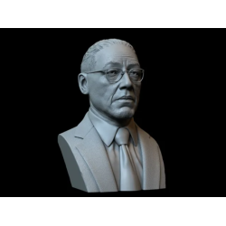 Gustavo Bust v1