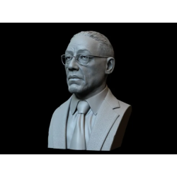 Gustavo Bust v1