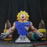 Majin Vegeta Especial Bust