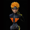 Pack Naruto Bust