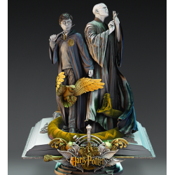 Harry potter & Voldemort -...