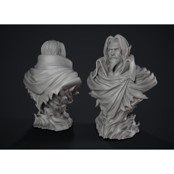 Castlevania Dracula Bust