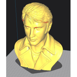 Elvis Presley Bust