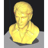 Elvis Presley Bust