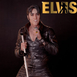 Elvis Special 68