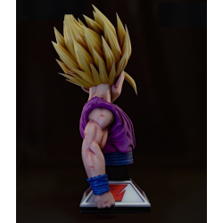 Gohan Bust