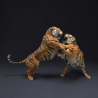 Bengal Tigers Fight