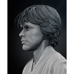 SW - Luke Bust