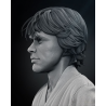 SW - Luke Bust