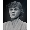 SW - Luke Bust