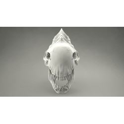 Alien skull