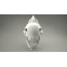 Alien skull