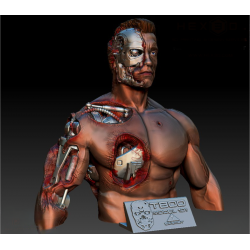 T800 Bust Damaged from...