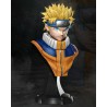 Naruto Bust