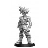 Dragon Ball - Pack Miniatures