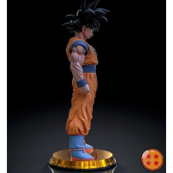 Goku & SSJ