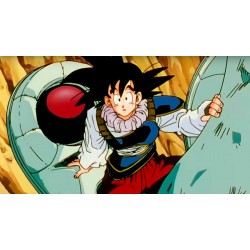 Goku Capsula