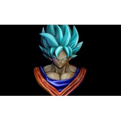 Goku SSJ Blue