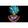 Goku SSJ Blue