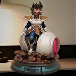 Vegeta Capsula