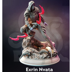 Exrin Nvata