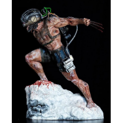 Fragmintz Weapon x