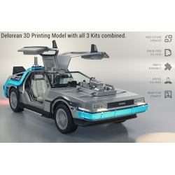 DeLorean KIT (Back To The...