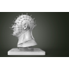 Hellraiser Bust