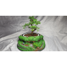 Hobbiton Bonsai Pot