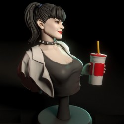 Abby Sciuto Bust