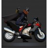 Batgirl on Bike