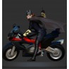 Batgirl on Bike